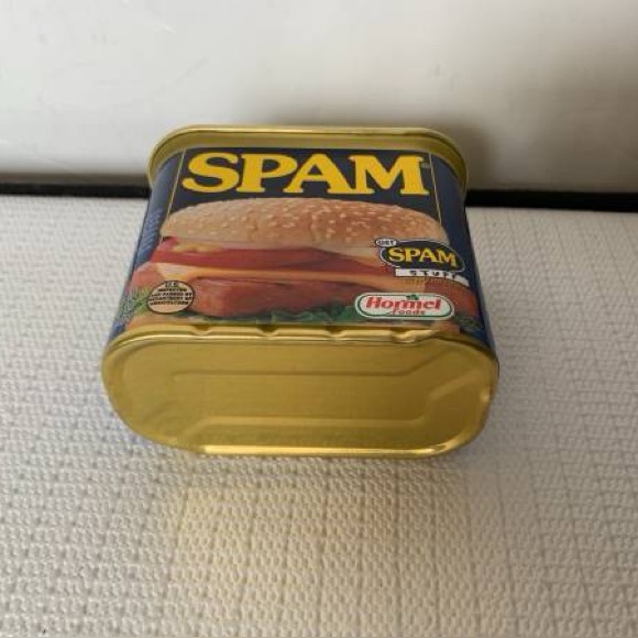 Brand New Spam Bank Security Coin Money Bank - Picture 4 of 6